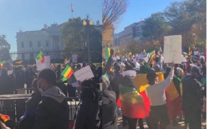 الإثيوبيون في الولايات المتحدة ينددون بالتدخل الأمريكي في الشؤون الداخلية