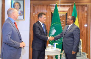 مفوض الاتحاد الأوروبي لإدارة الأزمات يُقر بجهود إثيوبيا للسلام