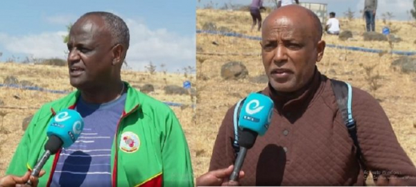 المغتربون الإثيوبيون يؤكدون التزامهم بتكثيف الجهود في مبادرة البصمة الخضراء