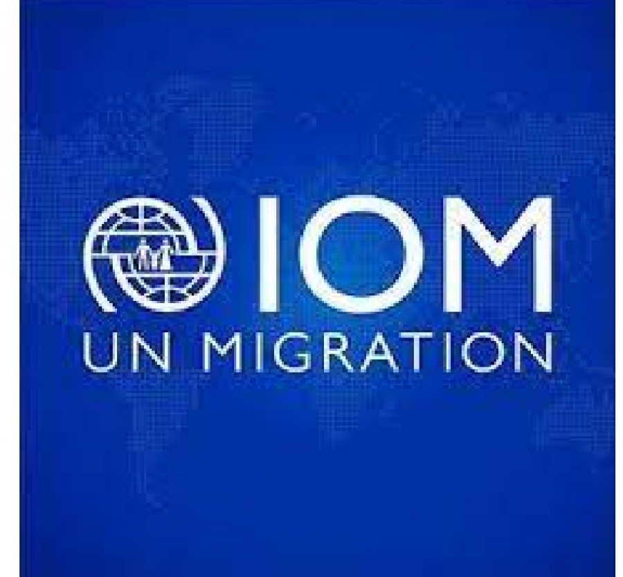 الأمم المتحدة تستدعي رئيسة المنظمة الدولية للهجرة في إثيوبيا لتعليقها على أفعال الجماعة الارهابية السيئة