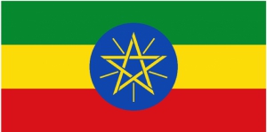 أثيوبيا  تسجل انتصارات عسكرية في جميع الجبهات