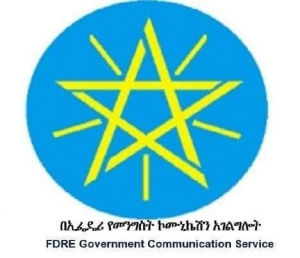 القوات الإثيوبية تصد هجمات المقاتلين الإرهابيين الذين حاولوا دخول مدينة ديسي