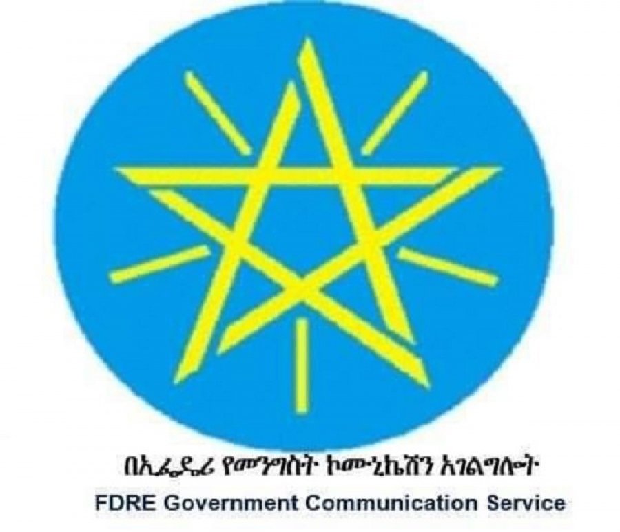 القوات الإثيوبية تصد هجمات المقاتلين الإرهابيين الذين حاولوا دخول مدينة ديسي