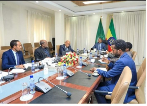 نائب رئيس الوزراء يدعو المغتربين الإثيوبيين للعمل عن كثب مع البعثات الدبلوماسية الإثيوبية