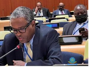 إثيوبيا تشير إلى أن الشراكة العالمية التي تحترم السيادة ضرورية للتنمية