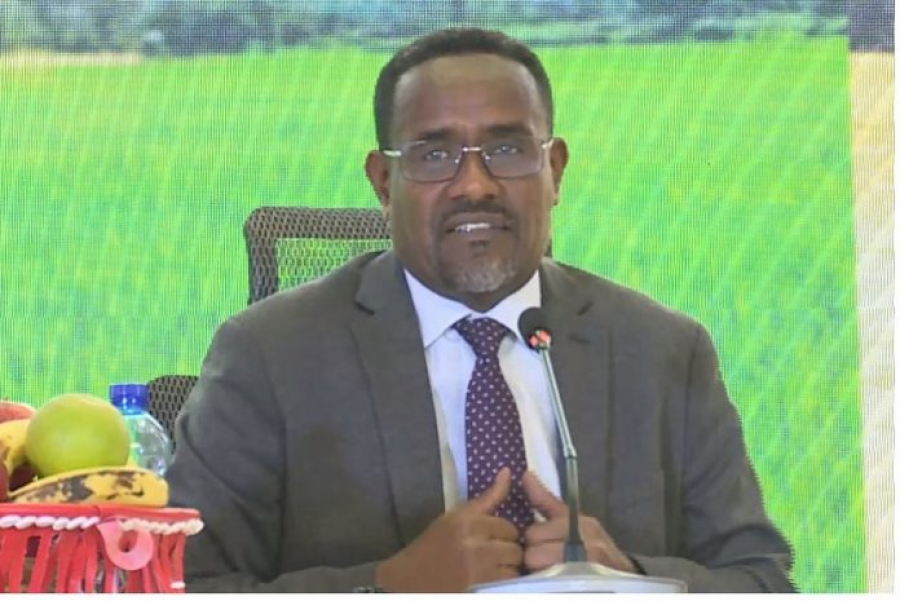 وزير الزراعة يدعو إلى توسيع نطاق زراعة القمح الصيفية في ولاية أوروميا لتشمل مناطق أخرى
