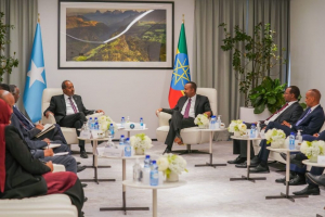 إثيوبيا والصومال يتفقان على مختلف القضايا ذات الاهتمام الإقليمي المشترك