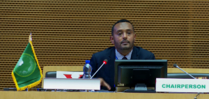 المدير العام لوكالة المغتربين الإثيوبية يشير إلى أن أفريقيا تحتاج إلى مؤسسات قوية وقابلة للتطبيق