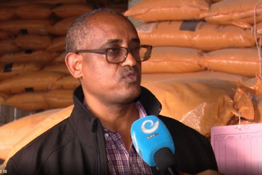 تعاونية الأعمال الزراعية الأثيوبية تحصل على 600.000 دولار من تصدير البخور والصمغ الطبيعي
