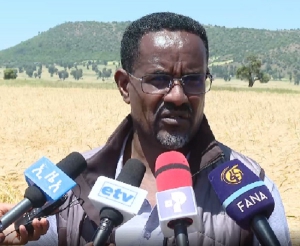 توزيع البذور المحسنة لتعزيز الإنتاجية بإقليم أوروميا