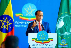 المتحدث باسم الخارجية : أظهر الوفد الاثيوبي صورة دقيقة للبلد في محافل دولية متعددة الأطراف