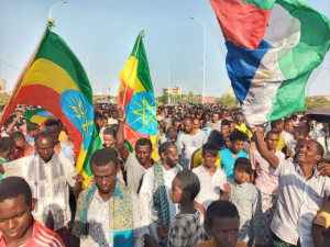 الإثيوبيون يعبرون عن دعمهم لقوات الدفاع الإثيوبية في حماية سيادة البلاد