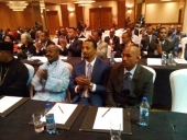 رئيس الوزراء يدعو إلى تضافر جهود الأثيوبيين في المهجر نحو التنمية