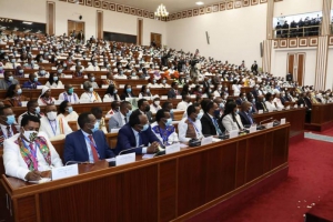 مجلس نواب الشعب يصادق على مشروع قانون ينظم سلطات ومسؤوليات الهيئات التنفيذية