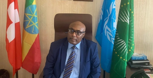 ممثل إثيوبيا لدى الأمم المتحدة : على القوات الأجنبية دعم جهود الحكومة في مجال السلام والتنمية