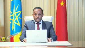 وزير الدفاع : أثيوبيا ستواصل جهودها نحو السلام والاستقرار في المنطقة والعالم