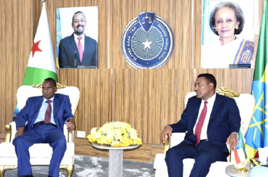 أثيوبيا وجيبوتي تعملان فى إخلاء الحدود من نشاطات المجرمين