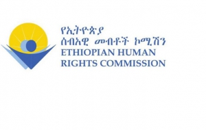 مفوض حقوق الإنسان الإثيوبي يفوز بجائزة ألمانيا الأفريقية 2021