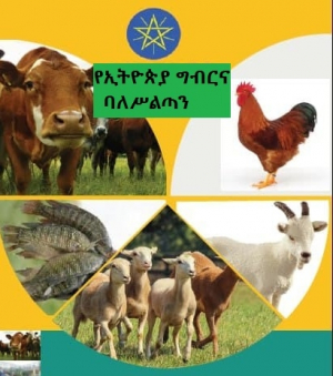 هيئة الزراعة الإثيوبية: الحفاظ على الحيوان يحسن الإنتاج بشكل كبير