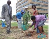 الاتحاد الإفريقي يحتفل بيوم البيئة و وانغاري ماثاي