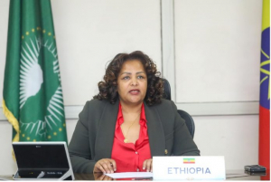 الحكومة الاثيوبية تعيد 28 ألف مواطن من السعودية خلال شهرين