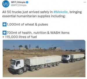 جميع الشاحنات المحملة بالإمدادات الإنسانية تصل إلى ميكيلي