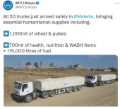 جميع الشاحنات المحملة بالإمدادات الإنسانية تصل إلى ميكيلي