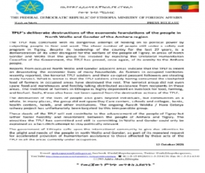 إثيوبيا تحث المجتمع الدولي على إيلاء الاهتمام الواجب لاحتياجات الناس في شمال وولو وجوندر