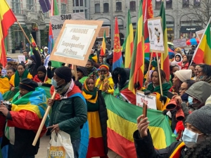 إثيوبيون وإريتريون ينظمون مظاهرة تندد بالضغط الجائر على إثيوبيا