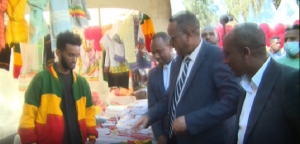 أديس أبابا تفتتح سلسلة من البرامج للترحيب بالمغتربين العائدين إلى الوطن