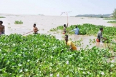 وزارة المياه والري والكهرباء : تمت إزالة أكثر من 60 في المائة من صفيرالمياه الذي إجتاح بحيرة طانا