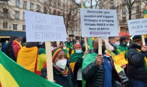 مظاهرة في فرنسا للتنديد ضد التدخل الغربي فى الشؤون الداخلية لأثيوبيا