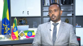 أثيوبيا تشيد بمنظمات المغتربين لمساهمتها في الدعوات الوطنية