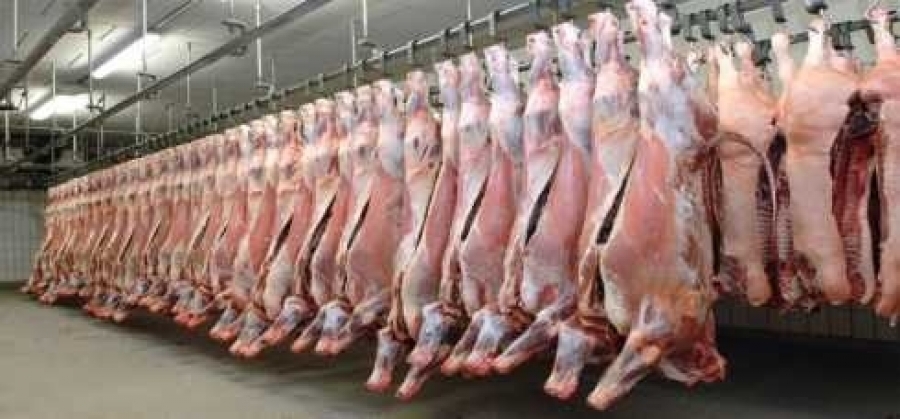 دبي تسقط التهم الموجهة ضد مصدري اللحوم الإثيوبية