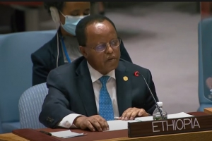 السفير : إثيوبيا ليست ملزمة بتقديم مبررات لقراراتها
