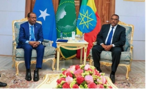 إثيوبيا والصومال تبحثان سبل تعزيز العلاقات الثنائية