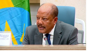 رئيس اللجنة : تقرير لجنة خبراء حقوق الإنسان الدولية حول إثيوبيا غير عادل