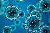عدد الإصابات بفيروس كورونا في إفريقيا تجاوز 11 مليونًا
