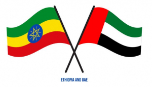 دولة الإمارات العربية المتحدة ترسل 700 طن من المساعدات الغذائية إلى إثيوبيا في ثلاثة أشهر