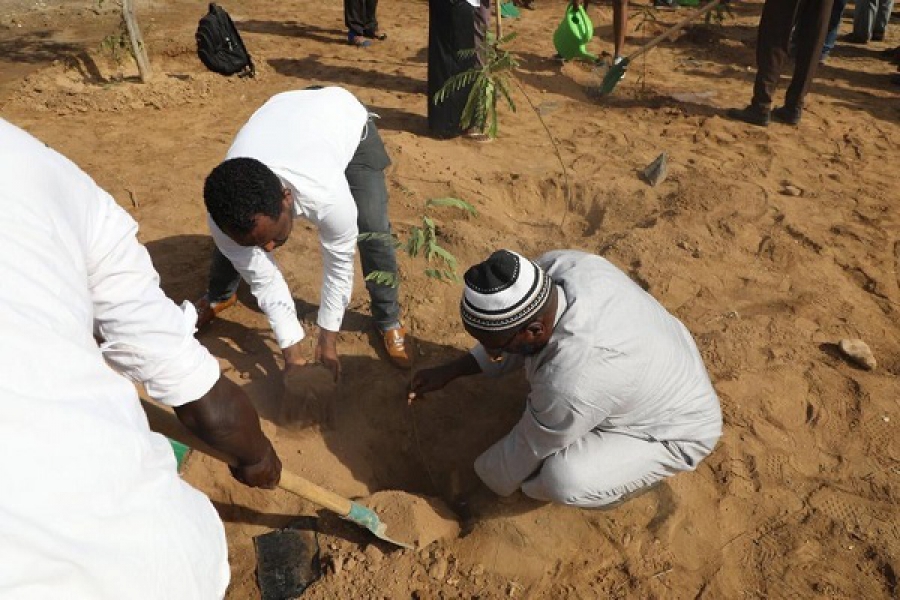 جيبوتي تزرع الأشجار التي منحتها حكومة إثيوبيا كجزء من مبادرة البصمة الخضراء