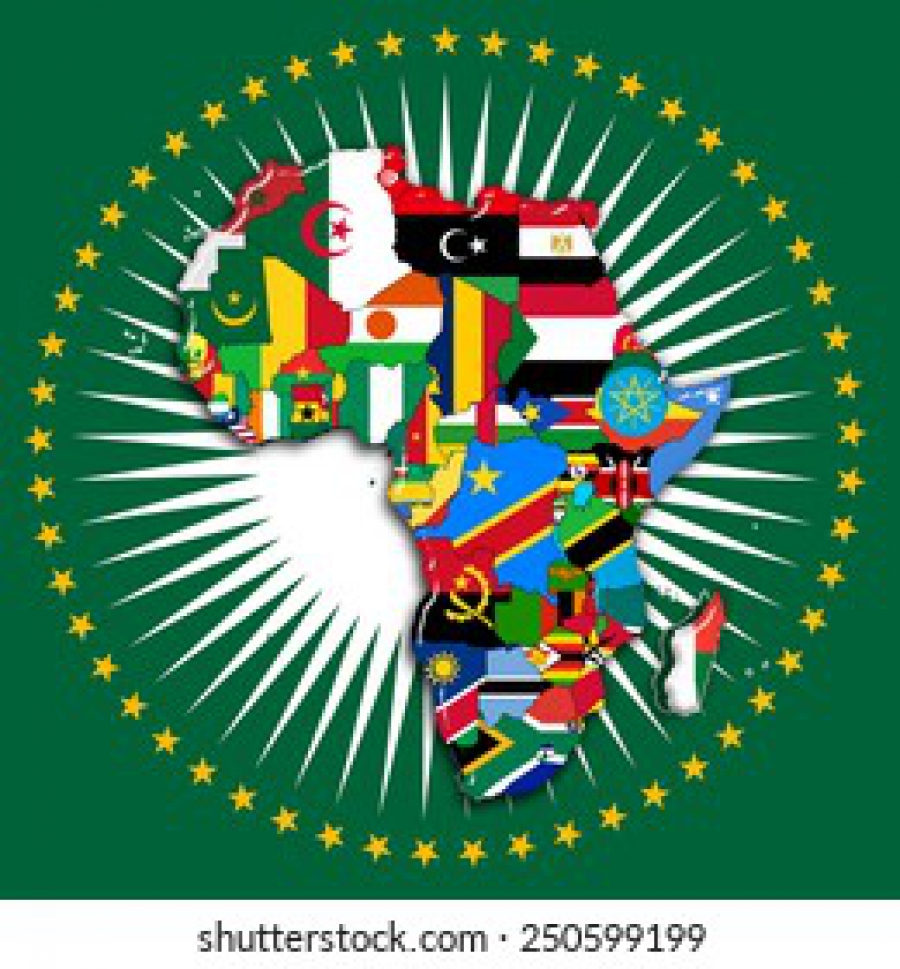 الباحث : يجب على القادة الأفارقة أن يقولوا لا للاستعمار الجديد ، وأن يدعموا إثيوبيا