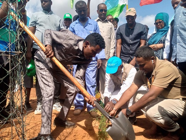 شباب من إثيوبيا و جيبوتي يقومون بزرع شتلات الأشجار في جيبوتي