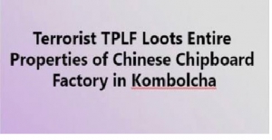 الإرهابيون ينهبون ممتلكات كاملة لمصنع اللوح الخشبي الصيني في كومبولتشا