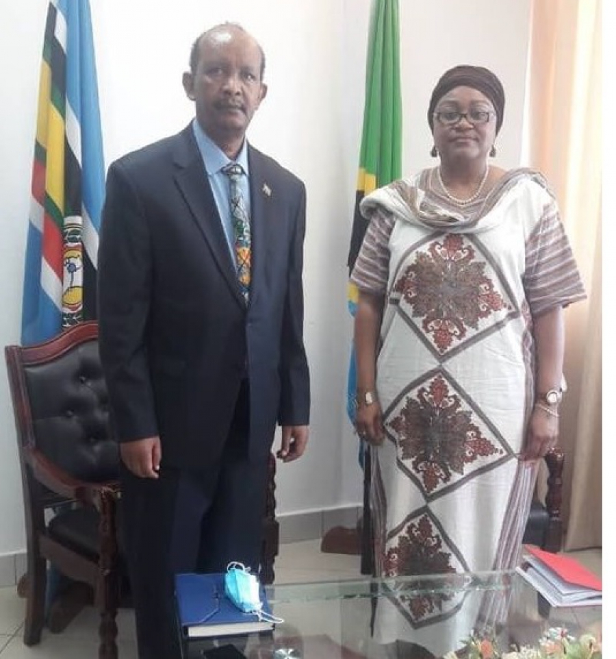 السفير الإثيوبي يبحث مع المديرة العامة للشؤون الإفريقية في تنزانيا