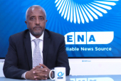 البروفيسور: اثيوبيا يجب أن يكون لها دور ريادي في القرن الأفريقي