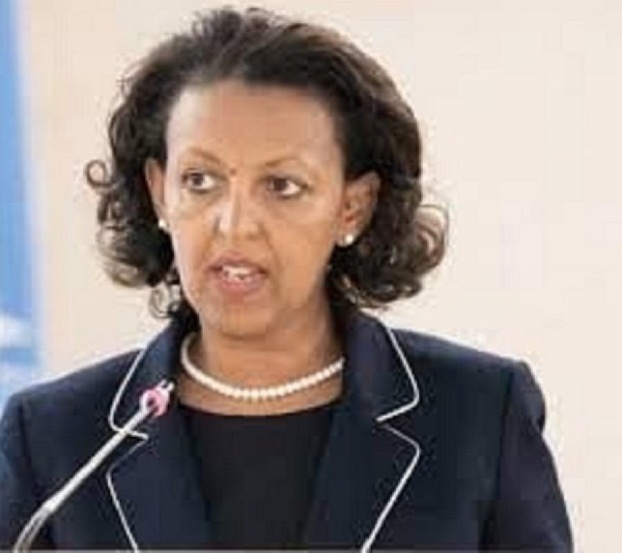 السفيرة : حان الوقت للمجتمع الدولي للوقوف مع حكومة إثيوبيا المنتخبة