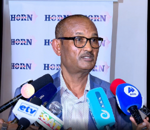 الخبراء : بعض المنظمات الدولية ووسائل الإعلام تلعب دورًا سلبيا في تصعيد الصراع في إثيوبيا