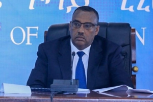نائب رئيس الوزراء : اكتملت الاستعدادات للاستجابة للكوارث في إثيوبيا