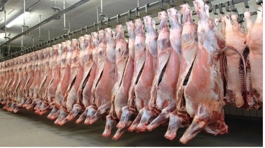 بدء عمل تصدير اللحوم خلال شهر رمضان بنشاط ليصل إلى أكثر من 11 مليون دولار أمريكي