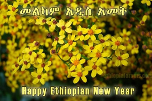 الأثيوبيون يحتفلون بالسنة الأثيوبية الجديدة 2014